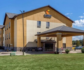 Comfort Inn & Suites Carbondale University Area