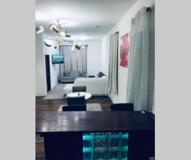 Chic Comfy Apartment 10 min from Down-Town Chicago