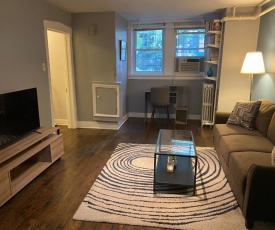 Lincoln Park Aparment with Backyard!