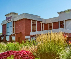 Drury Inn and Suites St Louis Collinsville