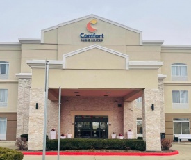 Comfort Inn & Suites Decatur-Forsyth