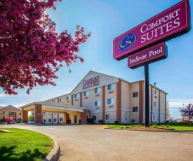 Comfort Suites Normal University area