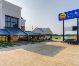 Comfort Inn & Suites Evansville Airport