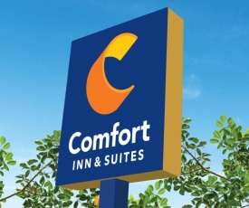 Comfort Inn & Suites Ankeny - Des Moines