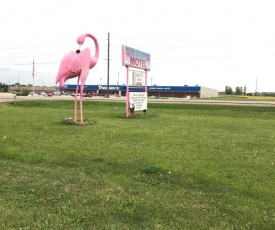 Flamingo Motel Marshalltown