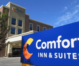 Comfort Inn & Suites Boise Airport