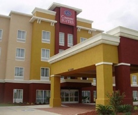 Comfort Suites near Tanger Outlet Mall