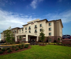 SpringHill Suites by Marriott Lafayette South at River Ranch