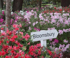 Bloomsbury Inn